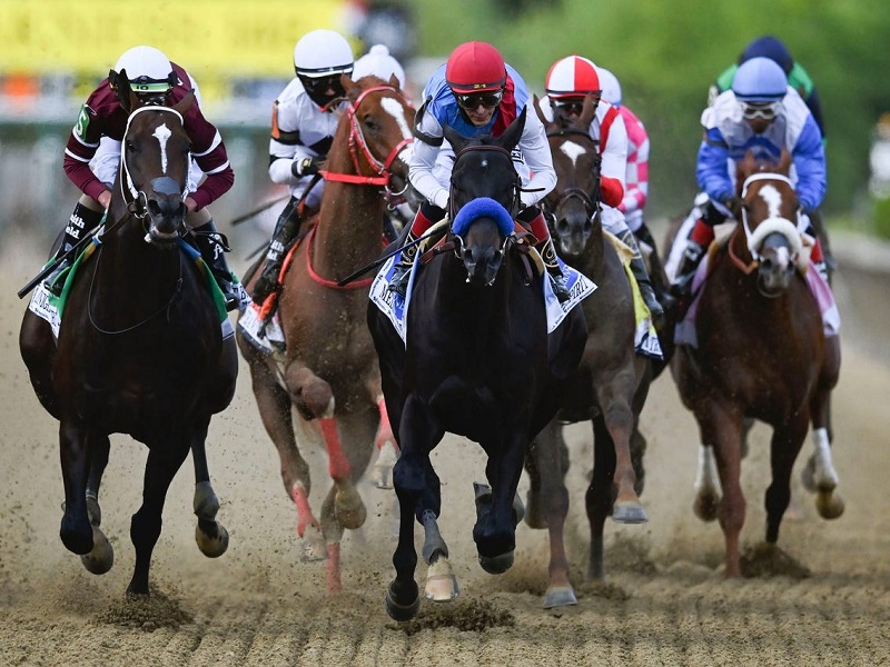 Horse Race Handicapping – Sometimes Book Learning could be a Bad Factor