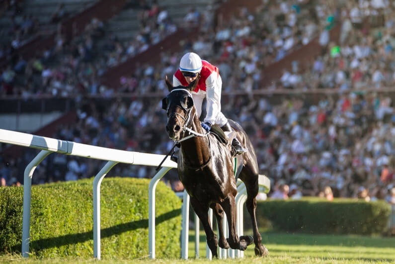 Horse Racing System Factors – Judgment Versus Scores